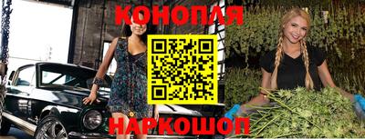 мдпв Жуковский